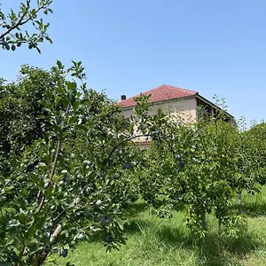 Mance , Berat Albanien